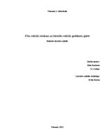 Referāts 'Citu valodu ietekme uz latviešu valodu gadsimtu gaitā', 1.