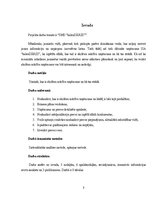 Biznesa plāns 'Biznesa plāns', 3.