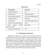 Biznesa plāns 'Biznesa plāns', 8.