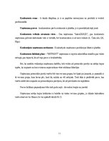 Biznesa plāns 'Biznesa plāns', 11.