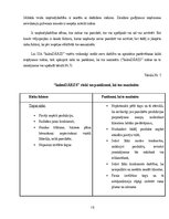 Biznesa plāns 'Biznesa plāns', 15.