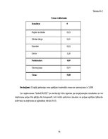 Biznesa plāns 'Biznesa plāns', 18.