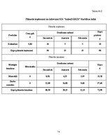 Biznesa plāns 'Biznesa plāns', 19.