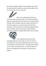 Prakses atskaite 'SIA "Autofavorīts"', 8.