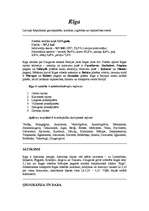 Konspekts 'Rīga', 1.