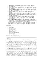 Konspekts 'Rīga', 3.