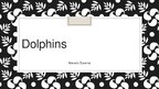 Prezentācija 'Dolphins', 1.