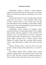 Biznesa plāns 'Bērnu kafejnīca "Pasaciņa"', 5.