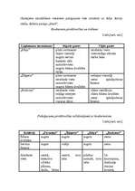 Biznesa plāns 'Bērnu kafejnīca "Pasaciņa"', 15.