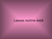 Prezentācija 'Lapsa', 25.