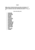 Konspekts 'Fizikas spēki', 2.