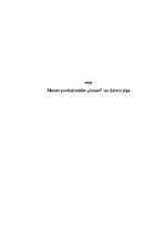 Eseja 'Manas profesionālās "lomas" un dzīves jēga', 1.