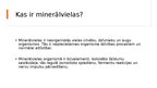 Prezentācija 'Minerālvielas', 2.