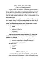 Referāts 'Cenu risks Jēkabpils rajona Sēlpils pagasta z/s "Pureni"', 16.