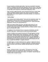 Referāts 'Brunejas sultāns Hasanals Bolkiahs', 4.