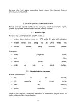 Referāts 'Klimata pārmaiņu un vides piesārņojuma ietekme uz Latvijas iedzīvotājiem', 23.