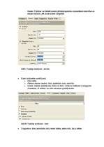 Referāts 'The Dude - tīklu vadības un pārraudzības rīks', 9.