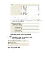 Referāts 'The Dude - tīklu vadības un pārraudzības rīks', 12.