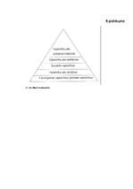 Referāts 'Invalīdu integrācija sabiedrībā', 52.