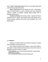 Referāts 'Ekonomikas un monetārā savienība', 13.