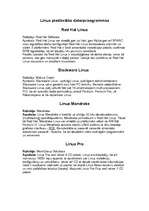 Referāts 'Alternatīvā programmatūra', 22.