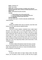 Prakses atskaite 'Aktīvās prakses atskaite sākumskolā', 31.