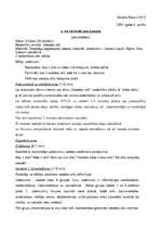 Konspekts 'Valodas stili', 1.