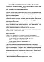 Paraugs 'Pētījuma analīze (sociālo pētījumu metodes)', 2.