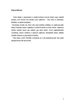 Biznesa plāns 'Uzņēmējdarbības organizēšana un plānošana', 3.