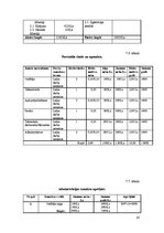 Biznesa plāns 'Uzņēmējdarbības organizēšana un plānošana', 20.