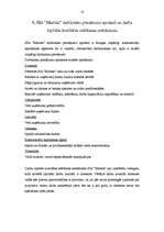 Prakses atskaite 'Kvalifikācijas prakse uzņēmējdarbībā', 16.