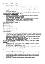 Konspekts 'Latvijas kultūras veidošanās', 2.