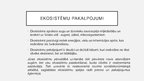 Prezentācija 'Baltijas jūras piesārņotība un tās problēmas', 7.