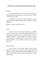 Konspekts 'Kā tiek saprasts un pielietots jēdziens "komanda" dažādās valstīs?', 1.