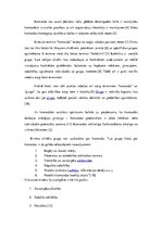 Konspekts 'Kā tiek saprasts un pielietots jēdziens "komanda" dažādās valstīs?', 2.