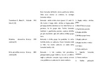 Konspekts 'Kā tiek saprasts un pielietots jēdziens "komanda" dažādās valstīs?', 6.