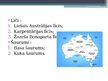 Prezentācija 'Austrālija', 8.
