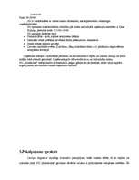 Biznesa plāns 'Individuālais uzņēmums „Krastmalas” ', 4.