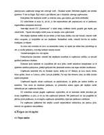 Biznesa plāns 'Individuālais uzņēmums „Krastmalas” ', 5.