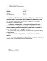 Biznesa plāns 'Individuālais uzņēmums „Krastmalas” ', 11.