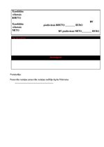 Prakses atskaite 'Prakse atskaite Rīgas Būvvalde', 22.