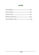 Referāts 'Divupe', 2.