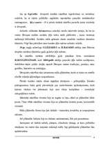 Referāts 'Divupe', 9.