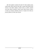 Referāts 'Divupe', 10.