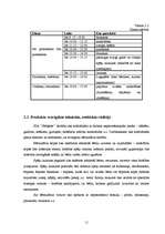 Biznesa plāns 'Privātā pirmsskolas izglītības iestāde "Stārķēns"', 9.