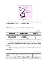 Biznesa plāns 'Privātā pirmsskolas izglītības iestāde "Stārķēns"', 34.