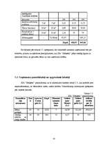 Biznesa plāns 'Privātā pirmsskolas izglītības iestāde "Stārķēns"', 41.