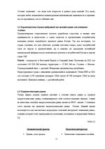 Prakses atskaite 'Стратегия компании, выход на международный рынок', 17.