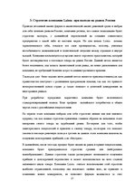 Prakses atskaite 'Стратегия компании, выход на международный рынок', 21.