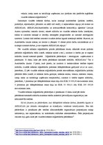 Referāts 'Fotogrāfija, autortiesības, autortiesību pārkāpumi', 3.